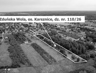 Zdjęcie 15543248