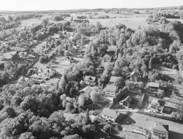 Zdjęcie 15543608