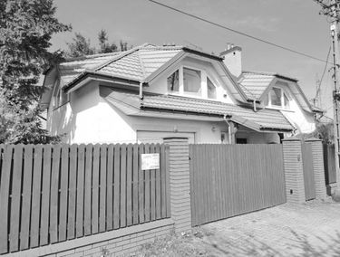 Zdjęcie 15543825