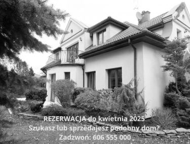 Zdjęcie 15543876