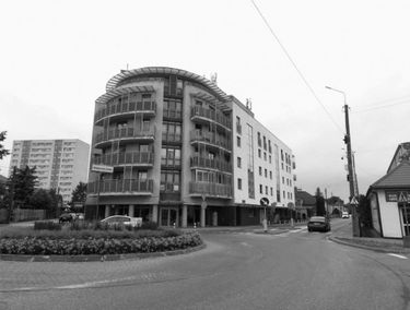 Zdjęcie 15543956