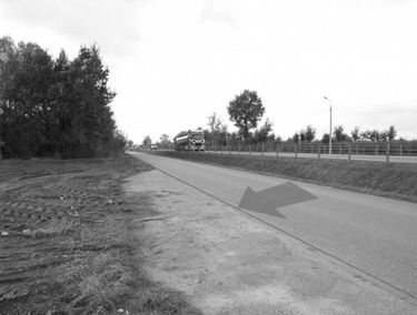 Zdjęcie 15544202