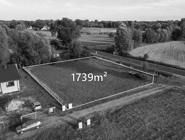 Zdjęcie 15544300