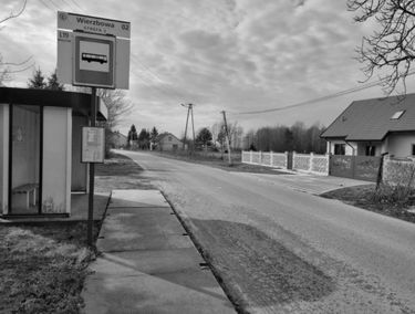 Zdjęcie 15544818