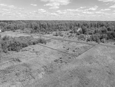 Zdjęcie 15544971