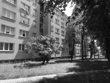 Zdjęcie 15545011