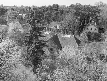 Zdjęcie 15545063