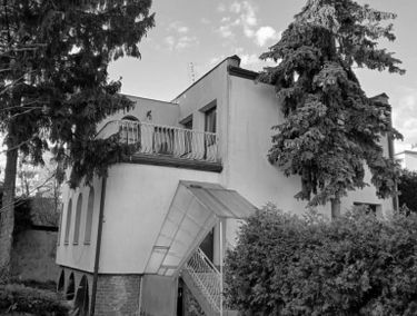 Zdjęcie 15545126
