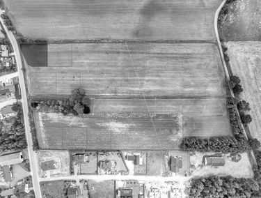 Zdjęcie 15545819