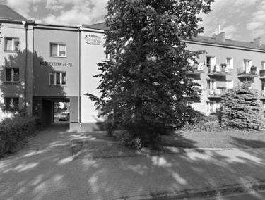 Zdjęcie 15546347