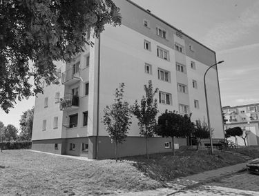 Zdjęcie 15546507