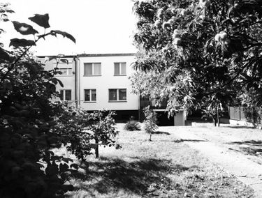 Zdjęcie 15546748
