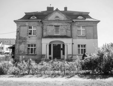 Zdjęcie 15546882