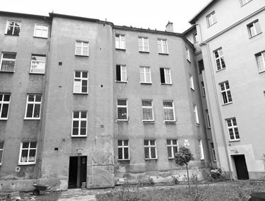Zdjęcie 15547250