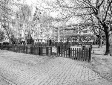 Zdjęcie 15547309
