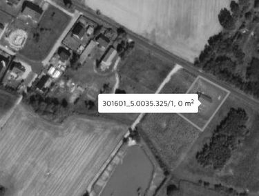 Zdjęcie 15547393