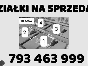 Zdjęcie 15548237