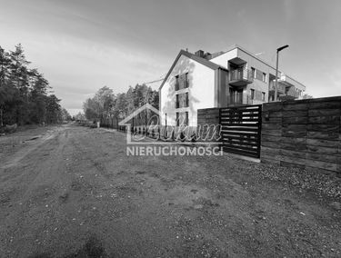 Zdjęcie 15548273