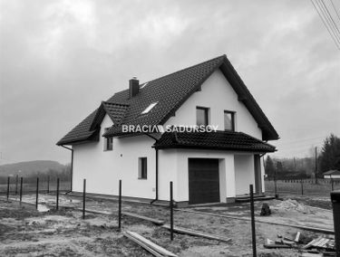 Zdjęcie 15548367