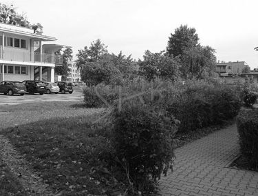 Zdjęcie 15548410