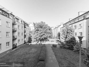 Zdjęcie 15548545