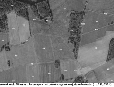 Zdjęcie 15548809