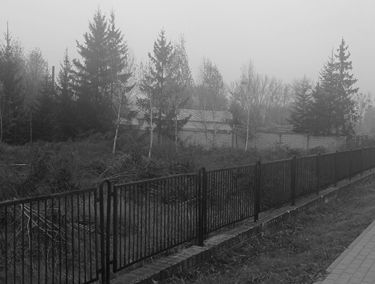 Zdjęcie 15549067