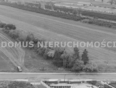 Zdjęcie 15549358