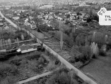 Zdjęcie 15549596