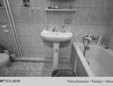 Zdjęcie 15550112