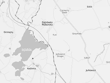 Zdjęcie 15550590