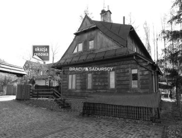 Zdjęcie 15550608
