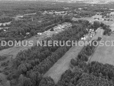 Zdjęcie 15551220
