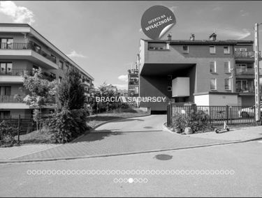 Zdjęcie 15551248