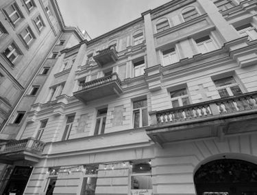 Zdjęcie 15551470