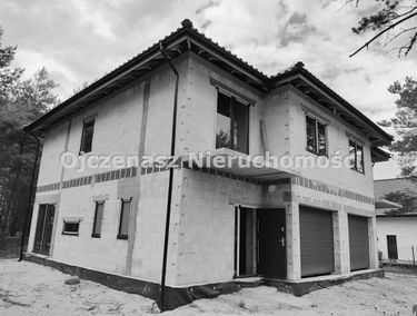 Zdjęcie 15551905