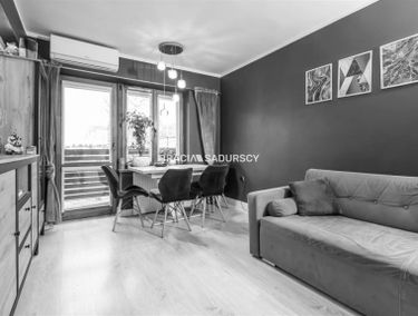 Zdjęcie 15551926
