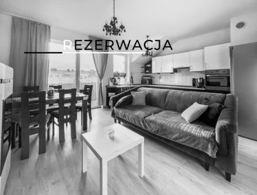 Zdjęcie 15551936