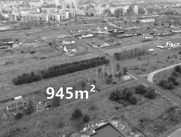 Zdjęcie 15552038