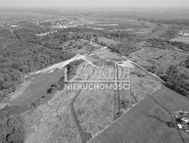 Zdjęcie 15552095