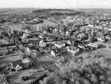 Zdjęcie 15552152