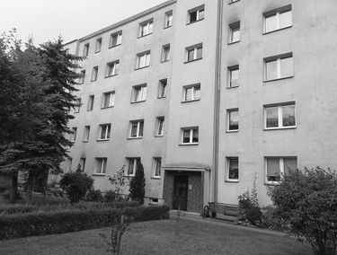 Zdjęcie 15552230