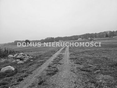Zdjęcie 15552247