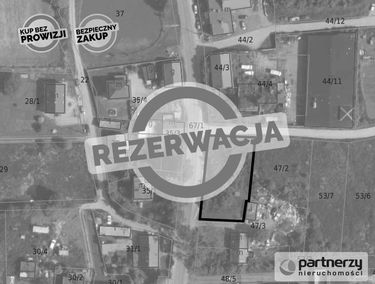 Zdjęcie 15552618