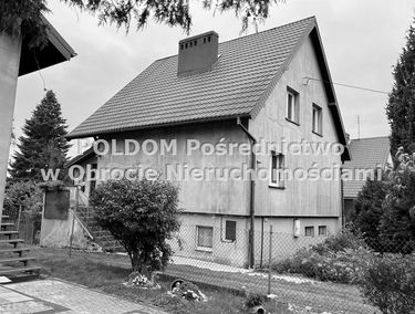 Zdjęcie 15553442