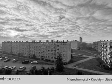 Zdjęcie 15553572