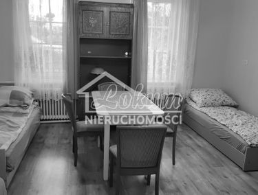 Zdjęcie 15554003