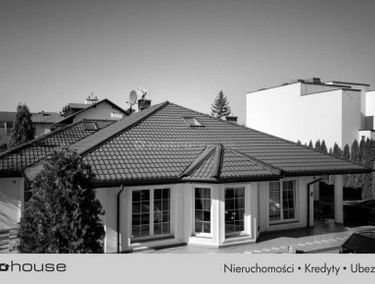 Zdjęcie 15554255