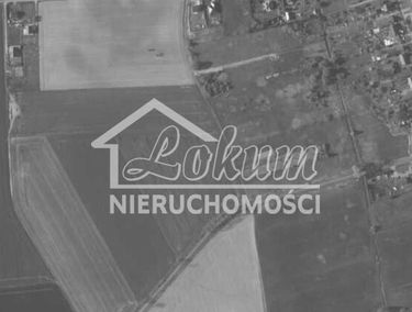 Zdjęcie 15554497