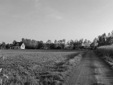 Zdjęcie 15554796